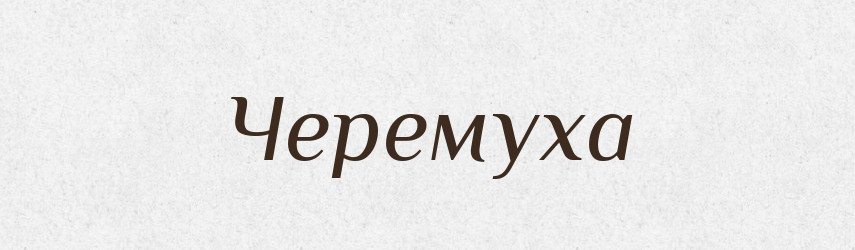 Черемуха — Тлумачний словник української мови