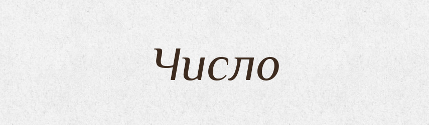 Число — Тлумачний словник української мови