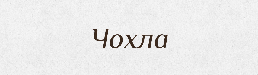 Чохла — Тлумачний словник української мови