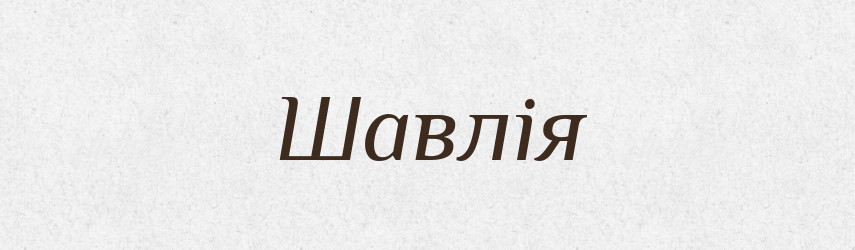 Шавлія — Тлумачний словник української мови