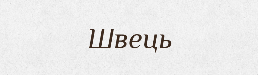 Швець — Тлумачний словник української мови