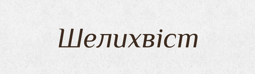 Шелихвіст — Тлумачний словник української мови