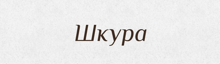 Шкура — Тлумачний словник української мови