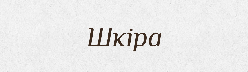 Шкіра — Тлумачний словник української мови