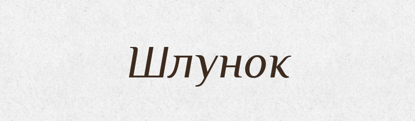 Шлунок — Тлумачний словник української мови