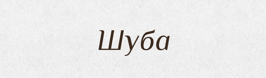 Шуба — Тлумачний словник української мови
