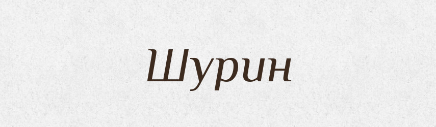 Шурин — Тлумачний словник української мови