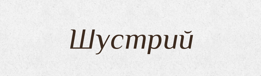 Шустрий — Тлумачний словник української мови