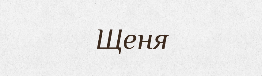 Щеня — Тлумачний словник української мови