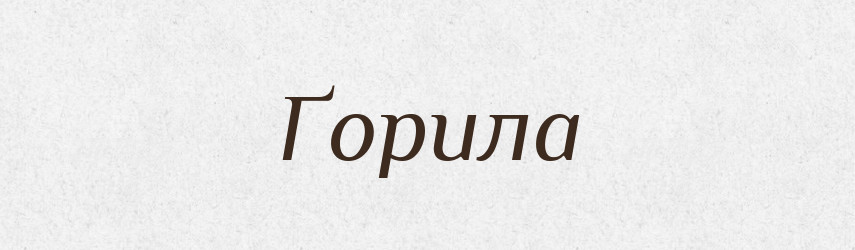 Ґорила — Тлумачний словник української мови